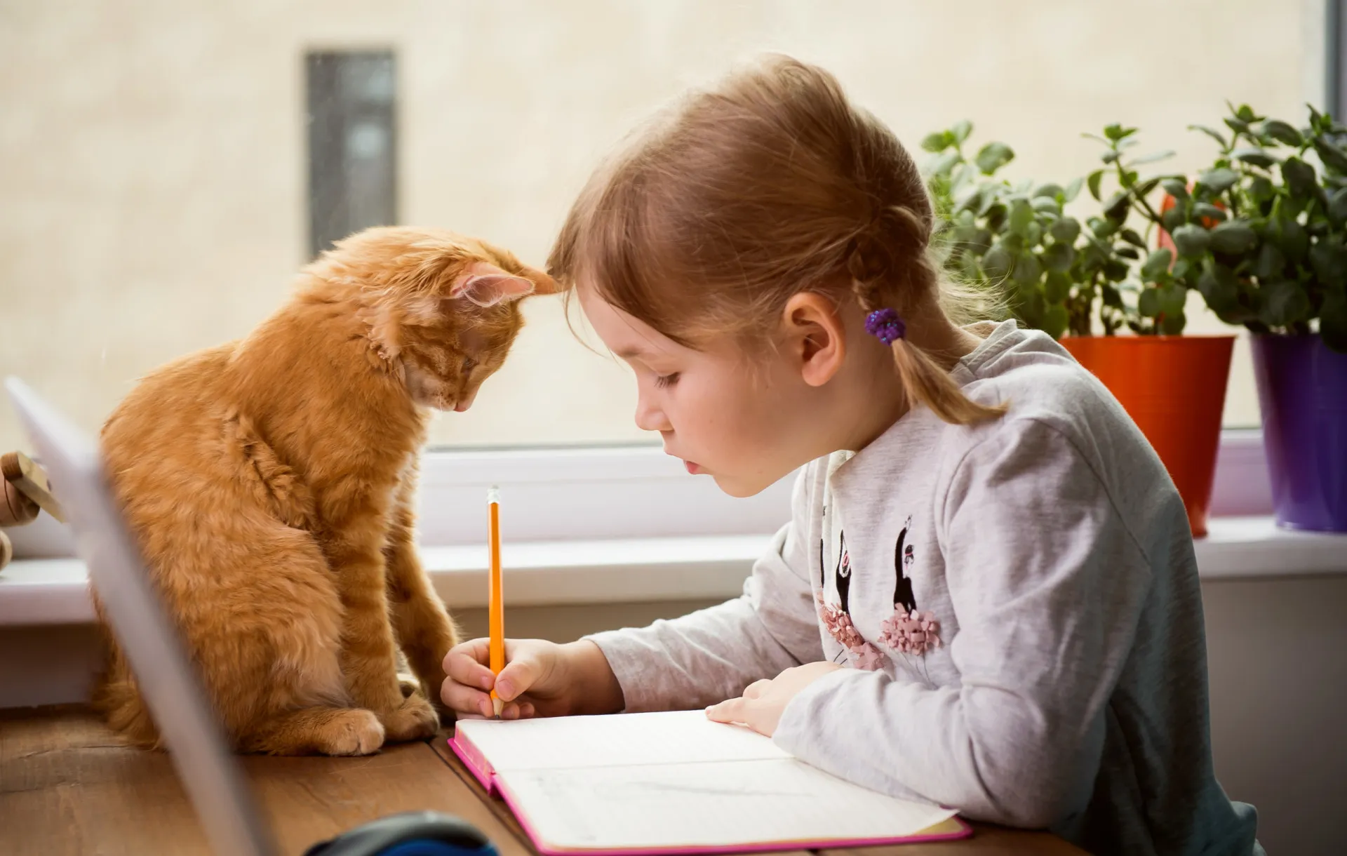 Mulher usando óculos lendo um livro no sofá com seu gato no colo.