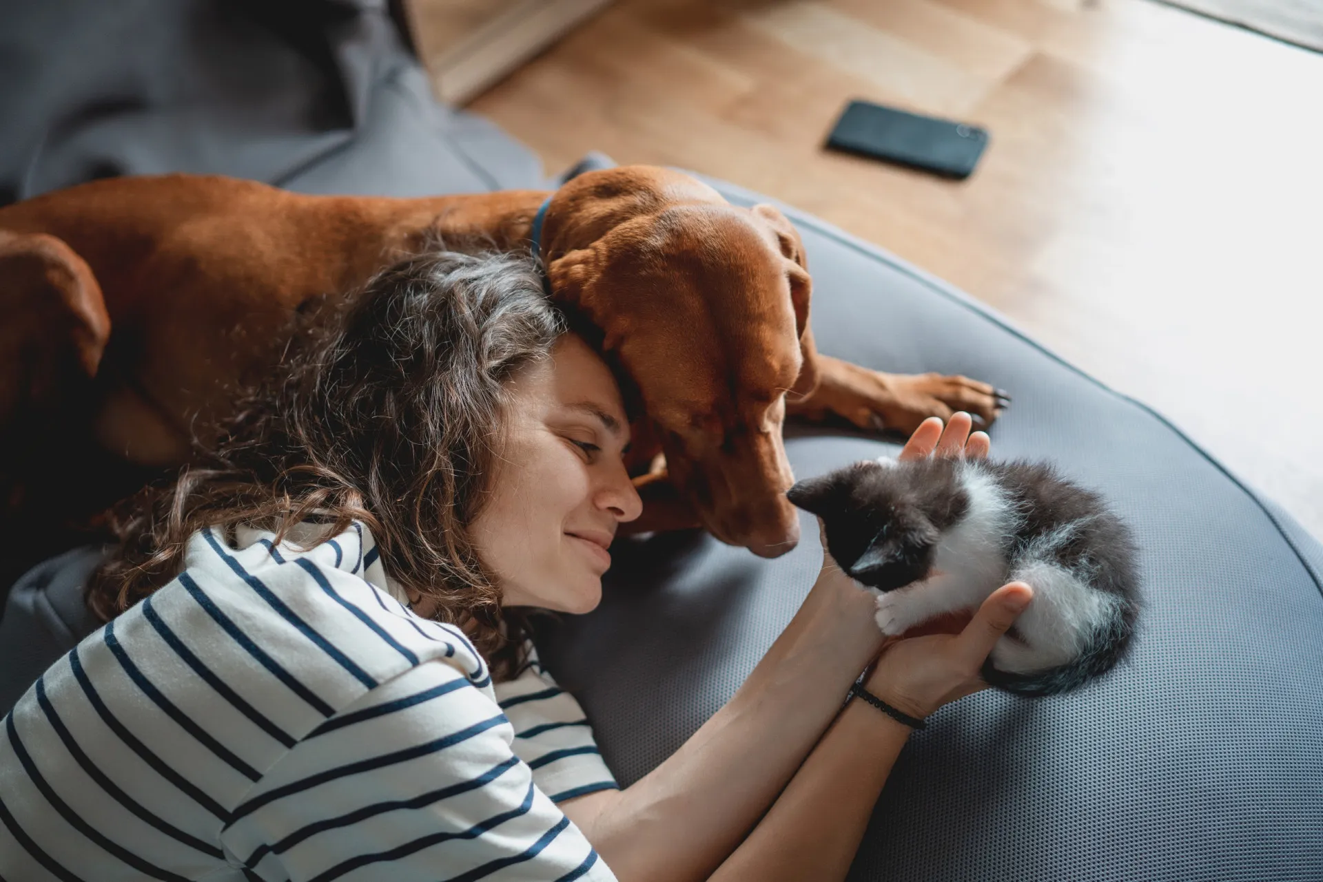 Família sorrindo em um sofá, com um cão e um gato deitados pacificamente juntos.