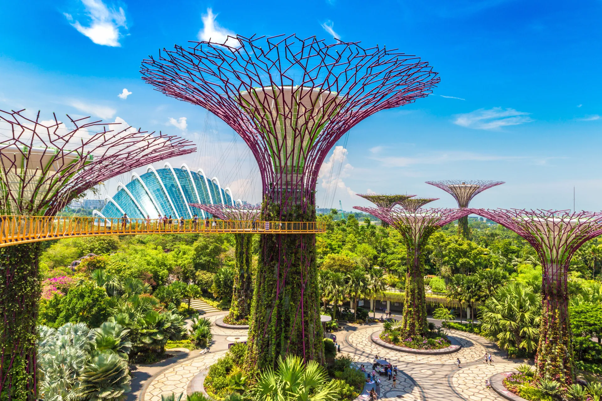Os Supertrees iluminados no Gardens by the Bay, em Singapura.
