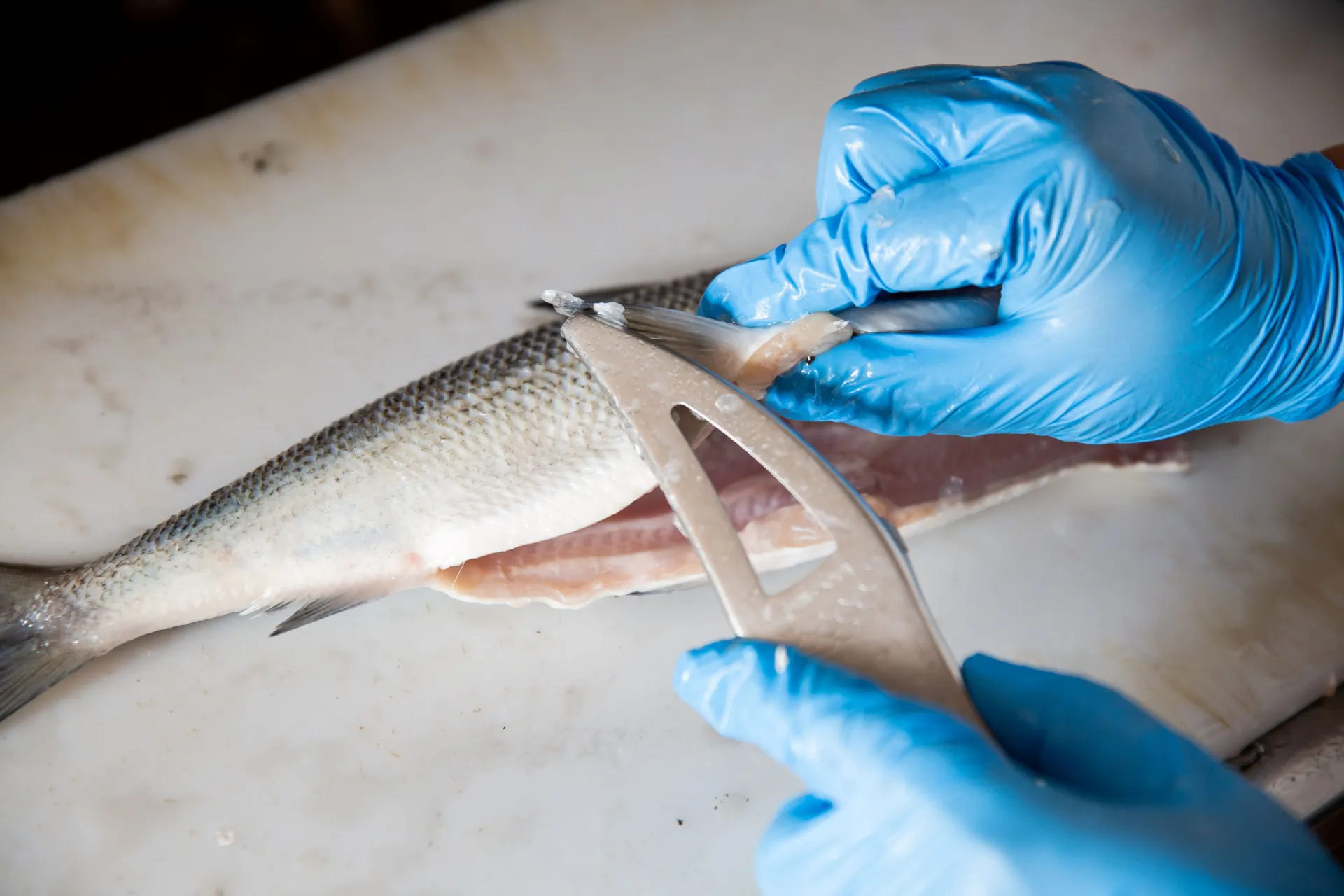 Pedaço de peixe congelado em um bloco de gelo, mostrando o método de prevenção.