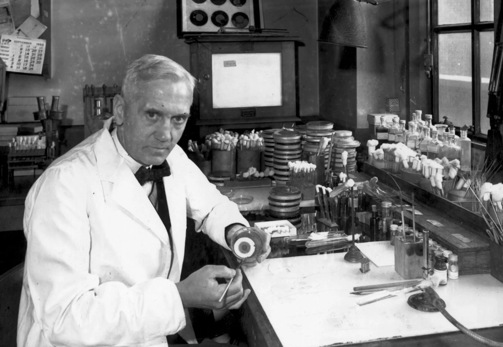 Alexander Fleming em seu laboratório, observando uma placa de Petri com o mofo Penicillium.