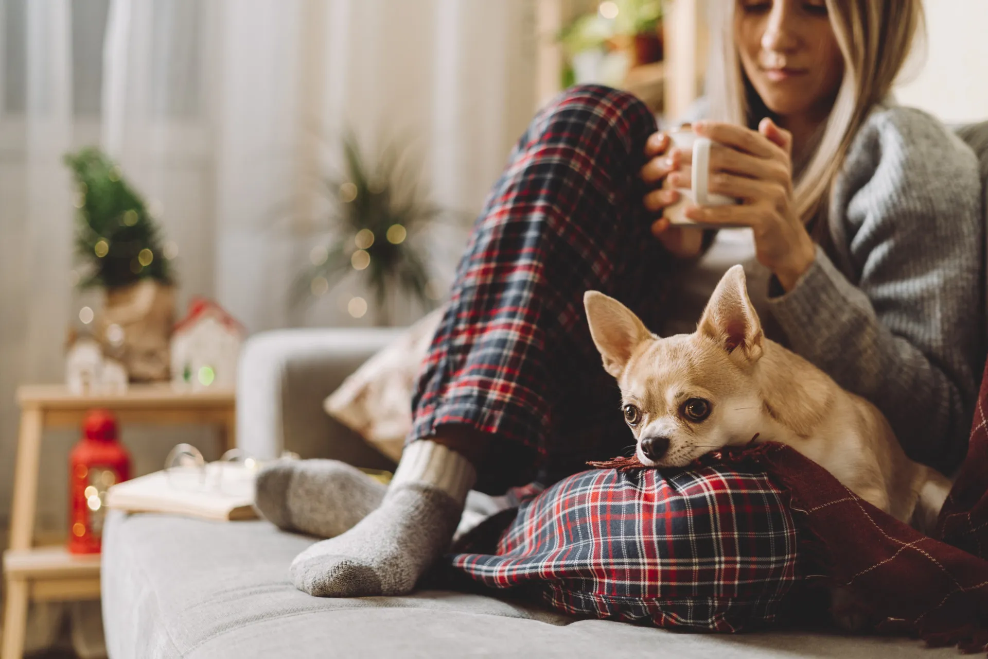 Mulher de óculos lendo um livro na cama com seu cachorro ao lado.