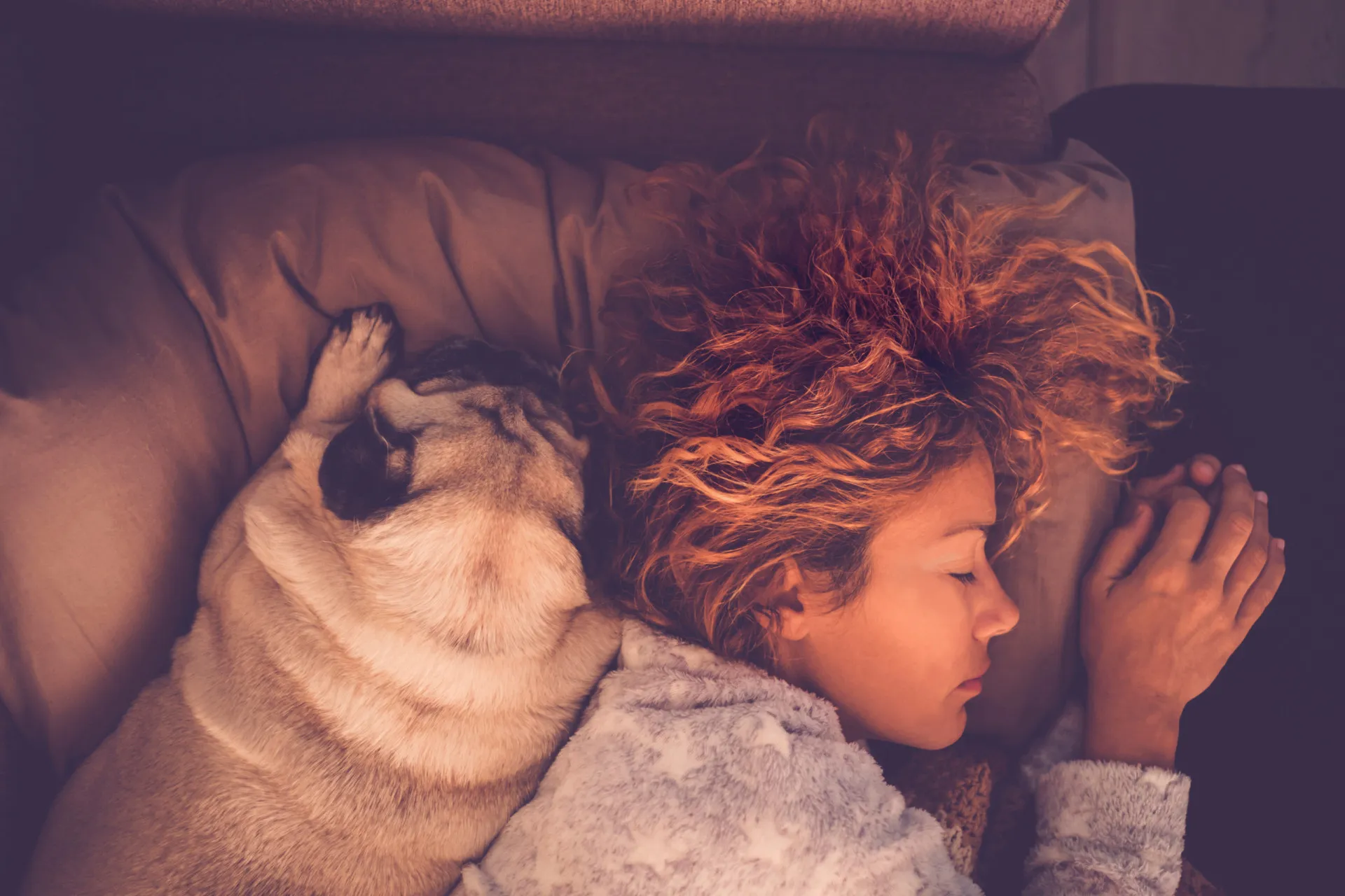 Mulher e seu cachorro dormindo em posições confortáveis em uma cama espaçosa.