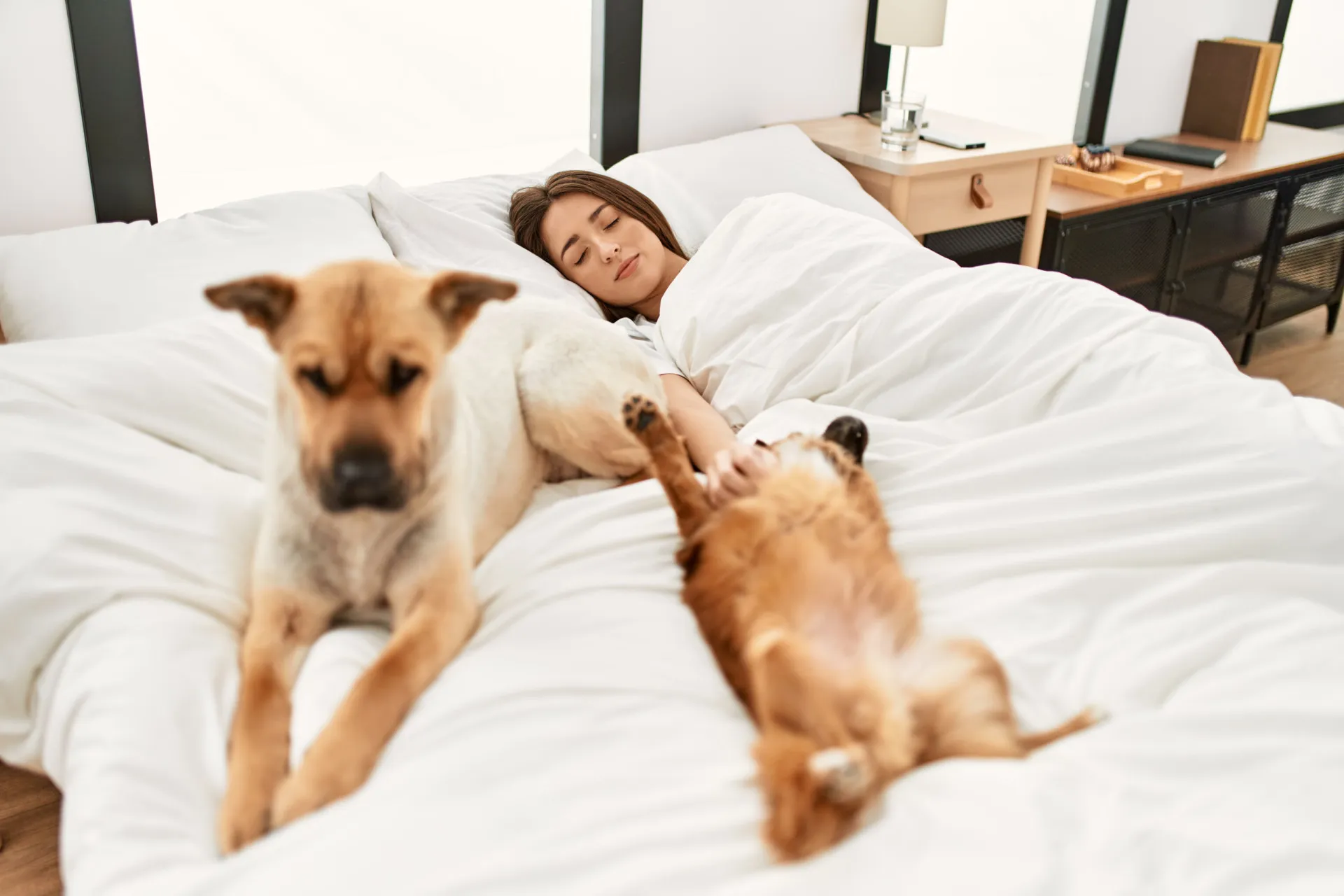 Mulher sorrindo enquanto abraça seu cachorro na cama.