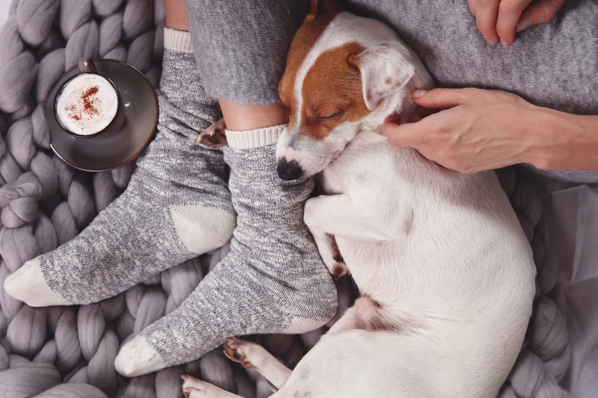Mulher dormindo abraçada com seu cachorro de porte médio.
