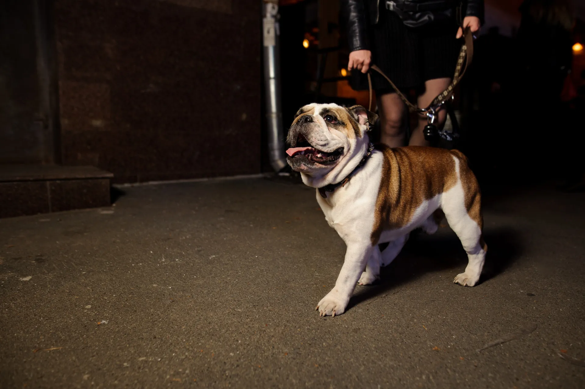 Homem passeando com seu cachorro à noite em uma rua iluminada.