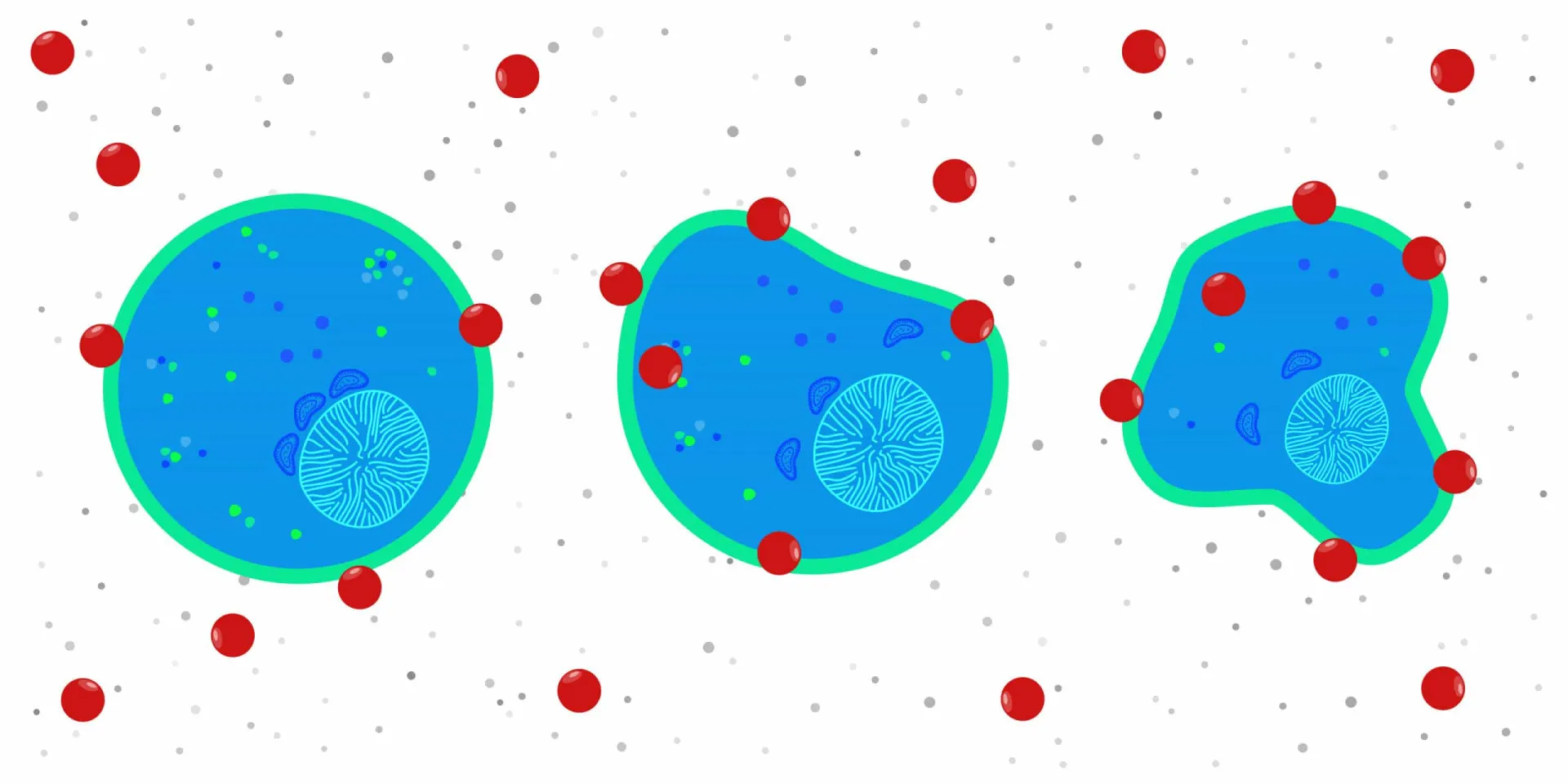 Ilustração de uma fita de DNA sendo danificada, simbolizando os efeitos do estresse oxidativo crônico.