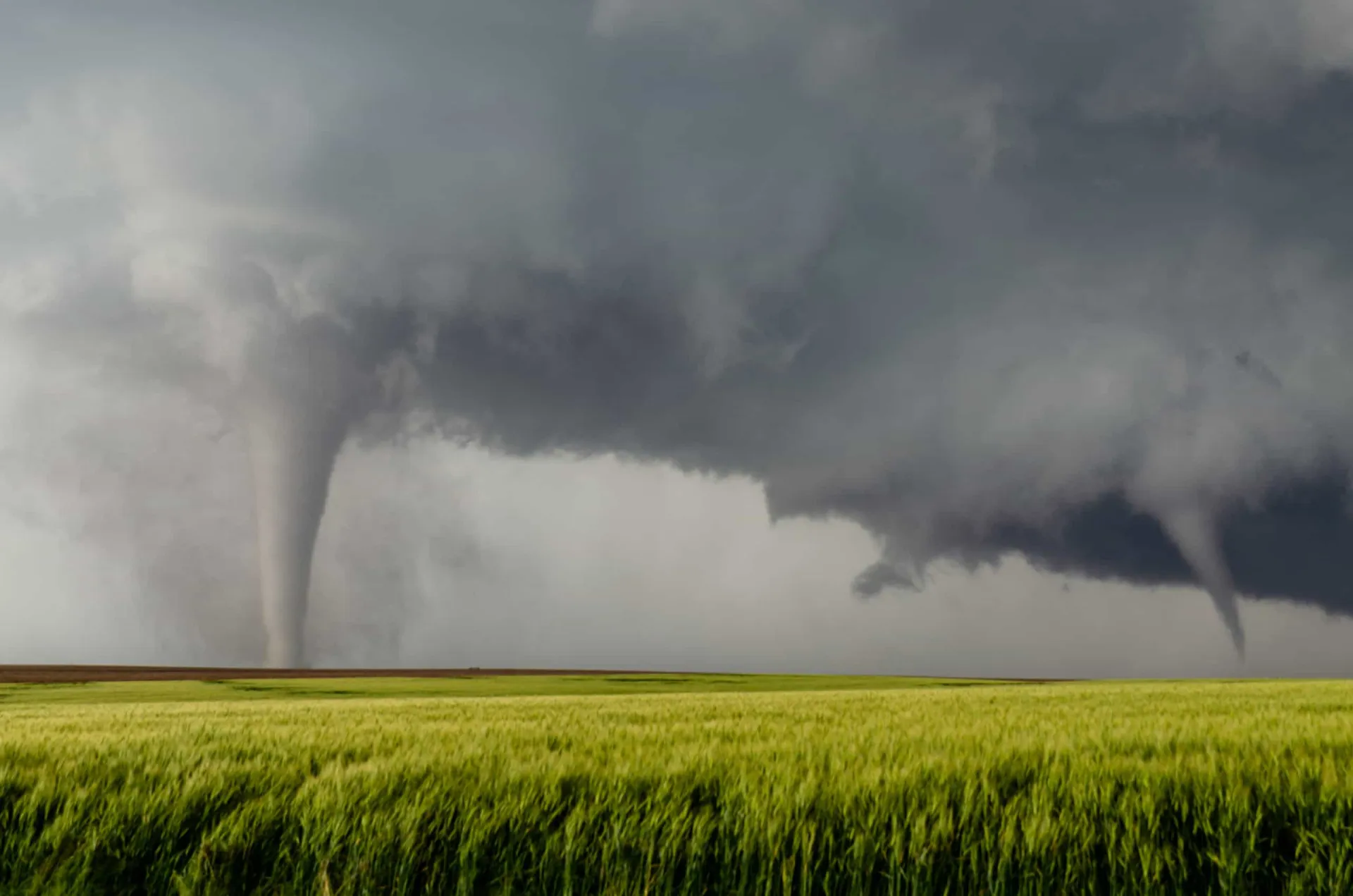 Um tornado se formando no horizonte de uma planície, enquanto um bando de pássaros voa na direção oposta.