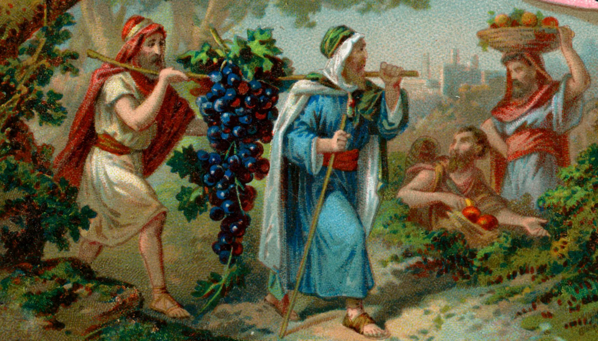 Ilustração de dois homens carregando um cacho de uvas gigante em uma vara, como descrito na Bíblia.