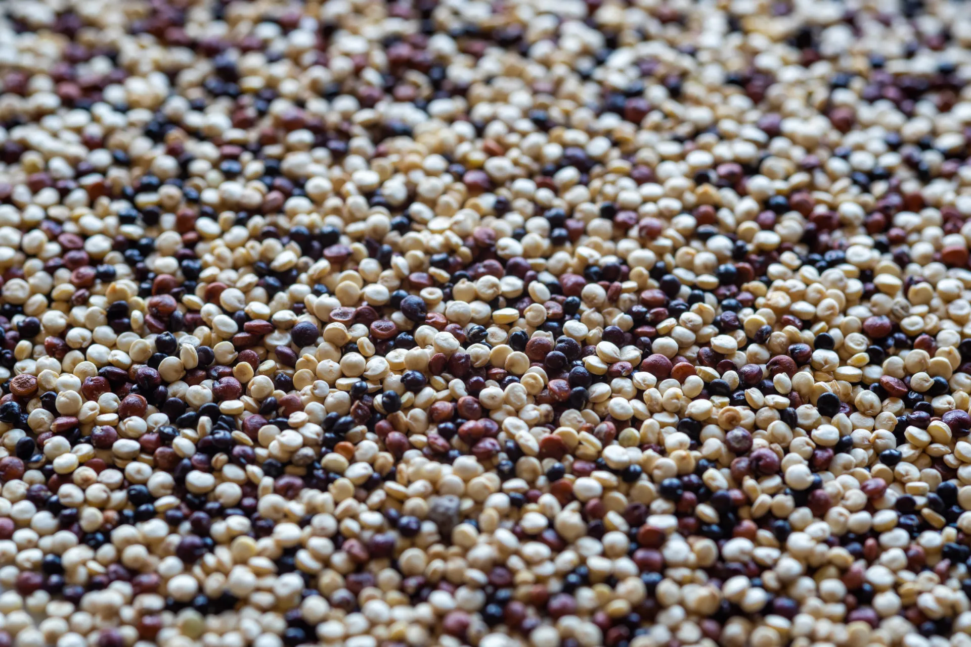 Uma tigela de salada de quinoa colorida e nutritiva.