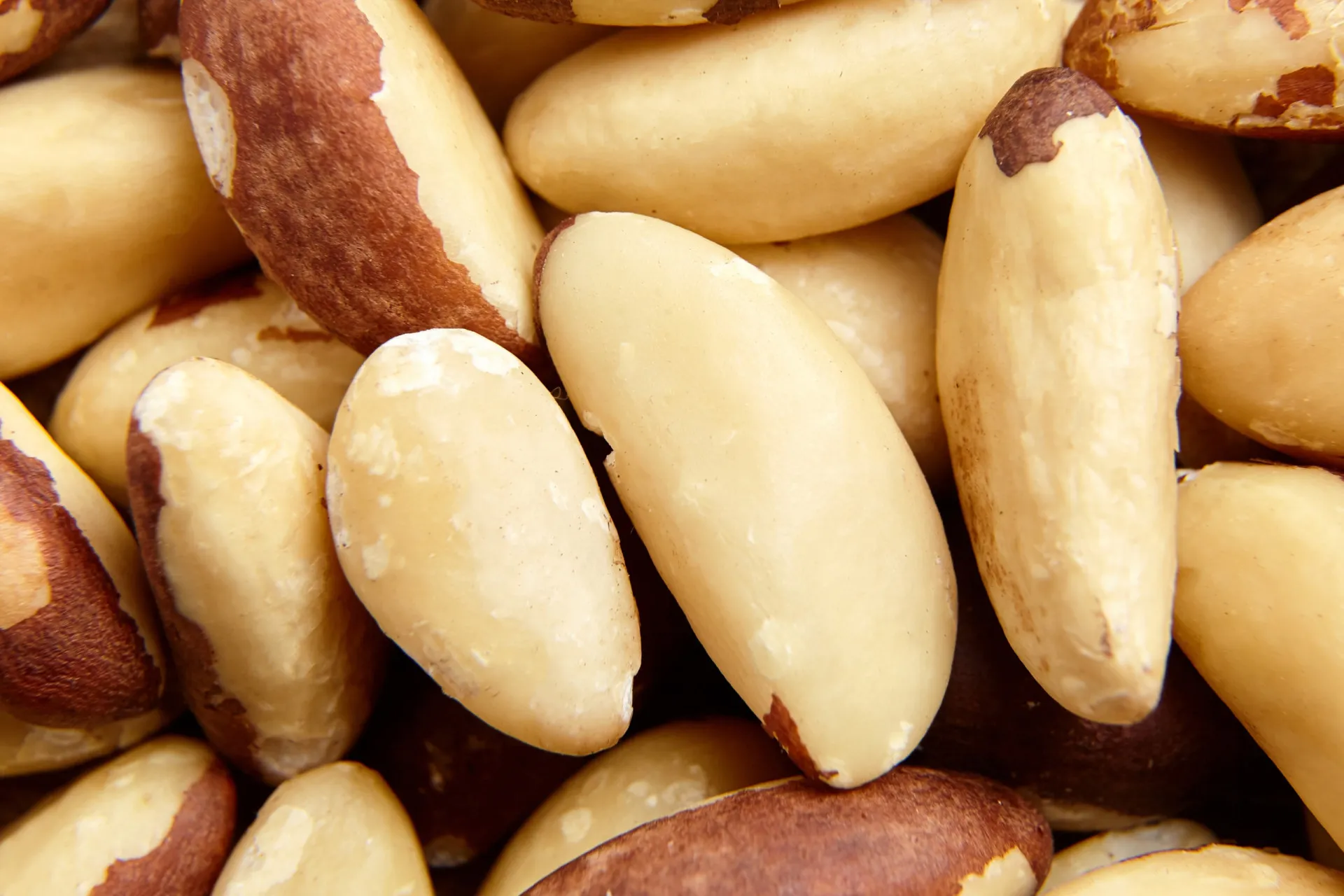 Mix de nozes e castanhas, incluindo amêndoas, nozes e castanhas de caju.