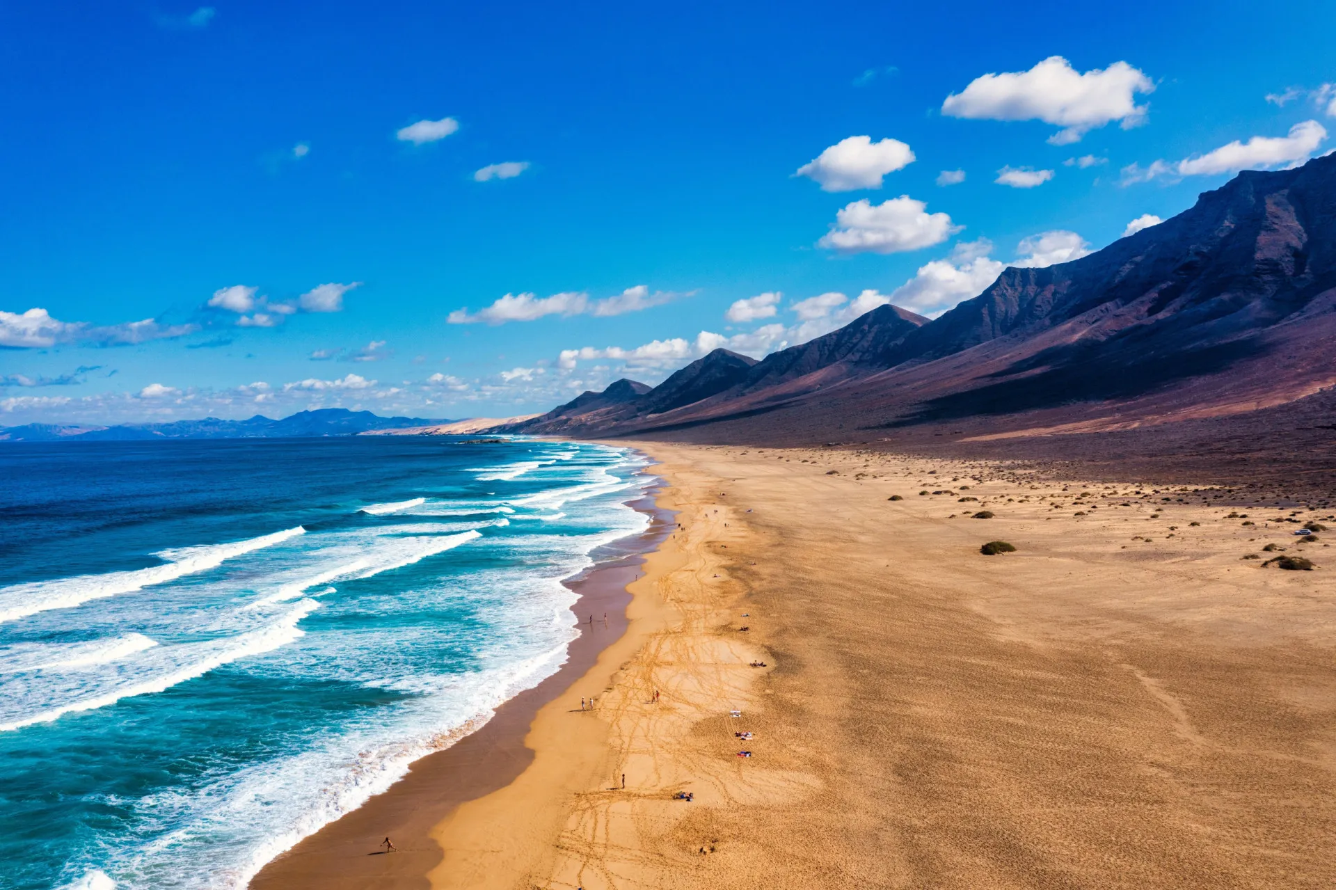 Paisagem de dunas e vegetação rasteira em Fuerteventura, nas Ilhas Canárias.