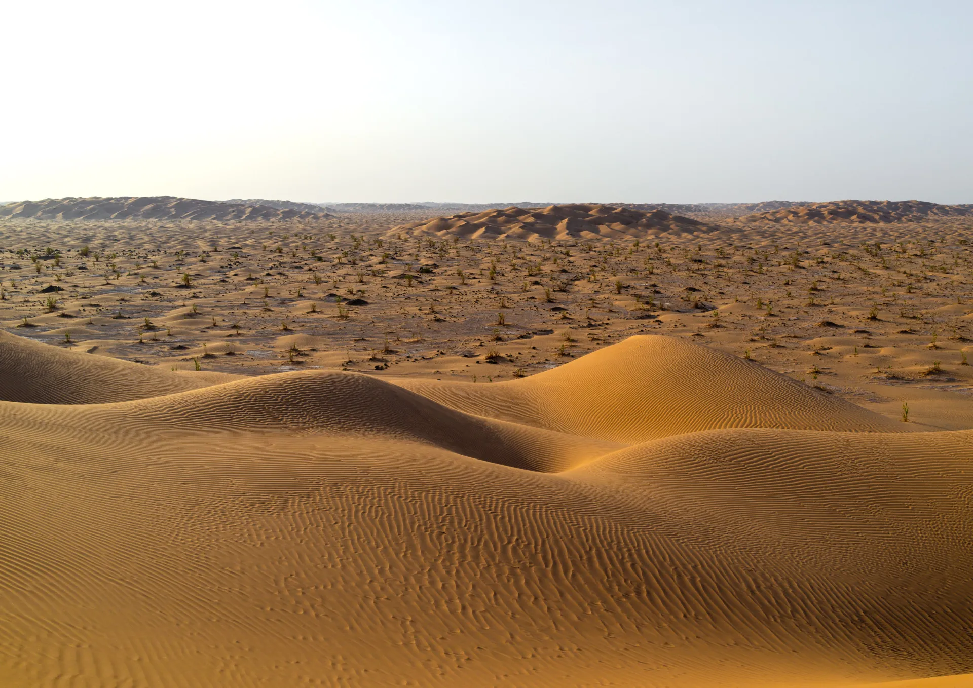 Vastas dunas de areia do deserto Rub’ al Khali, em Abu Dhabi.