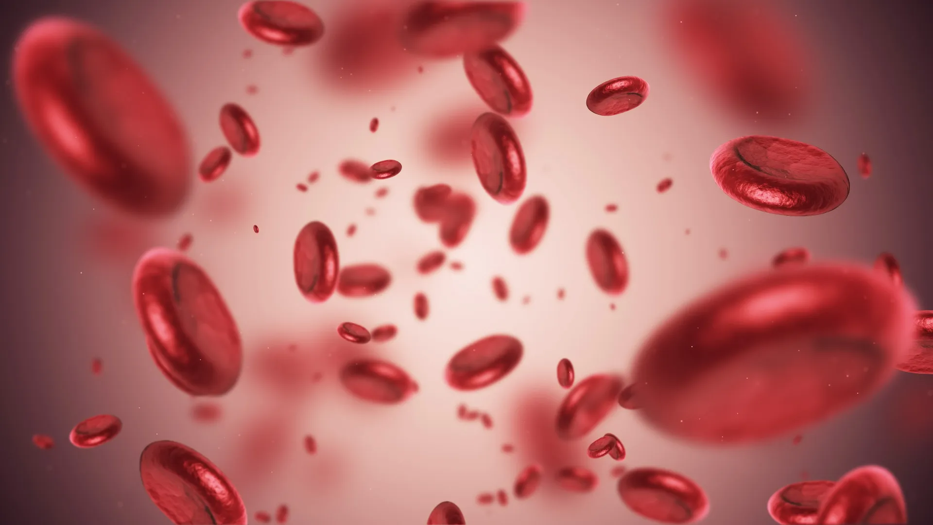 Variedade de alimentos ricos em ferro e vitamina B12, como carne vermelha, ovos, espinafre e grãos.
