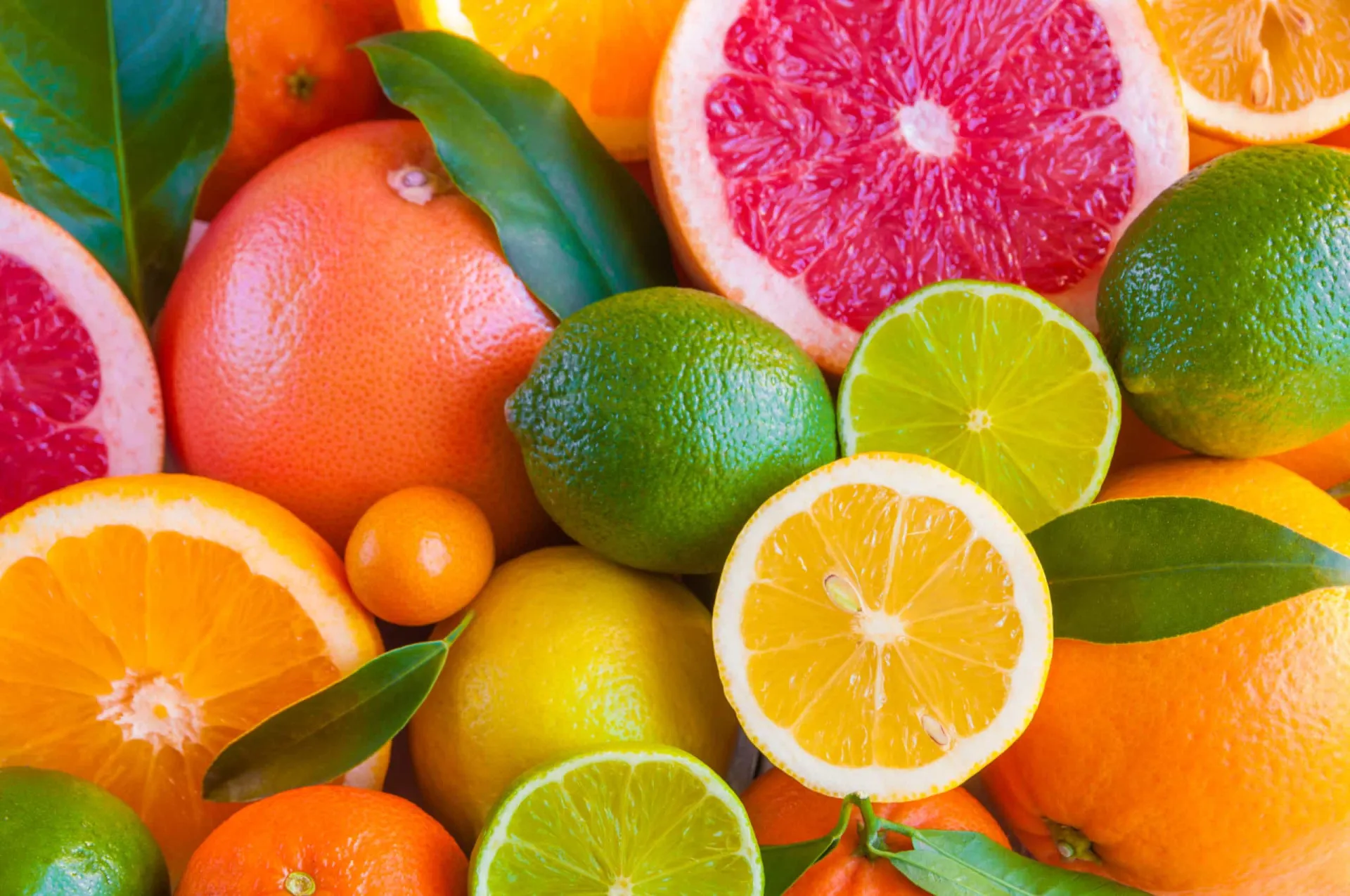 Fatias de limão, laranja e outras frutas cítricas.