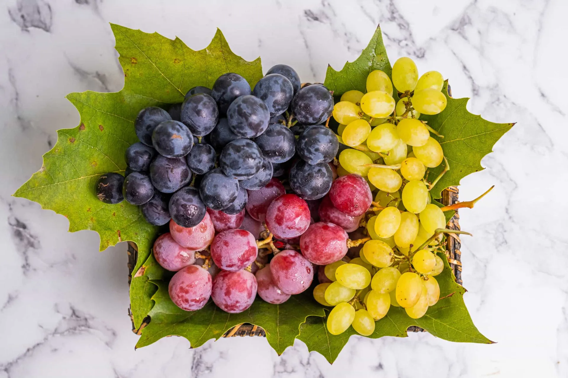 Um cacho de uvas roxas frescas e suculentas.