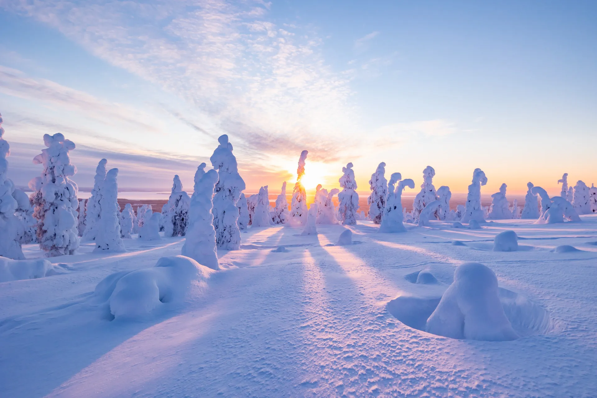 Paisagem de inverno na Finlândia, com árvores cobertas de neve e uma luz suave no horizonte.