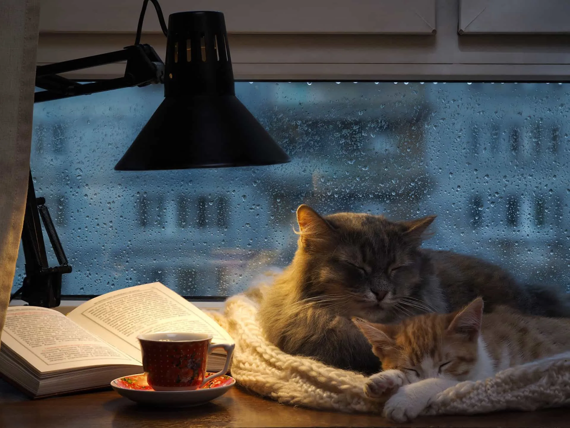 Pessoa dormindo tranquilamente na cama enquanto a chuva cai do lado de fora da janela.