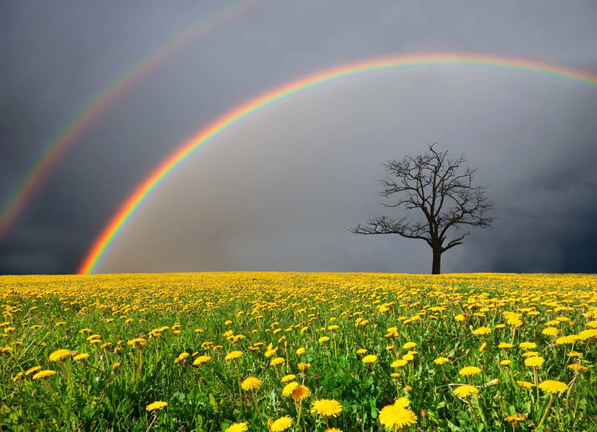 Um arco-íris vibrante e completo se formando no céu após uma chuva.