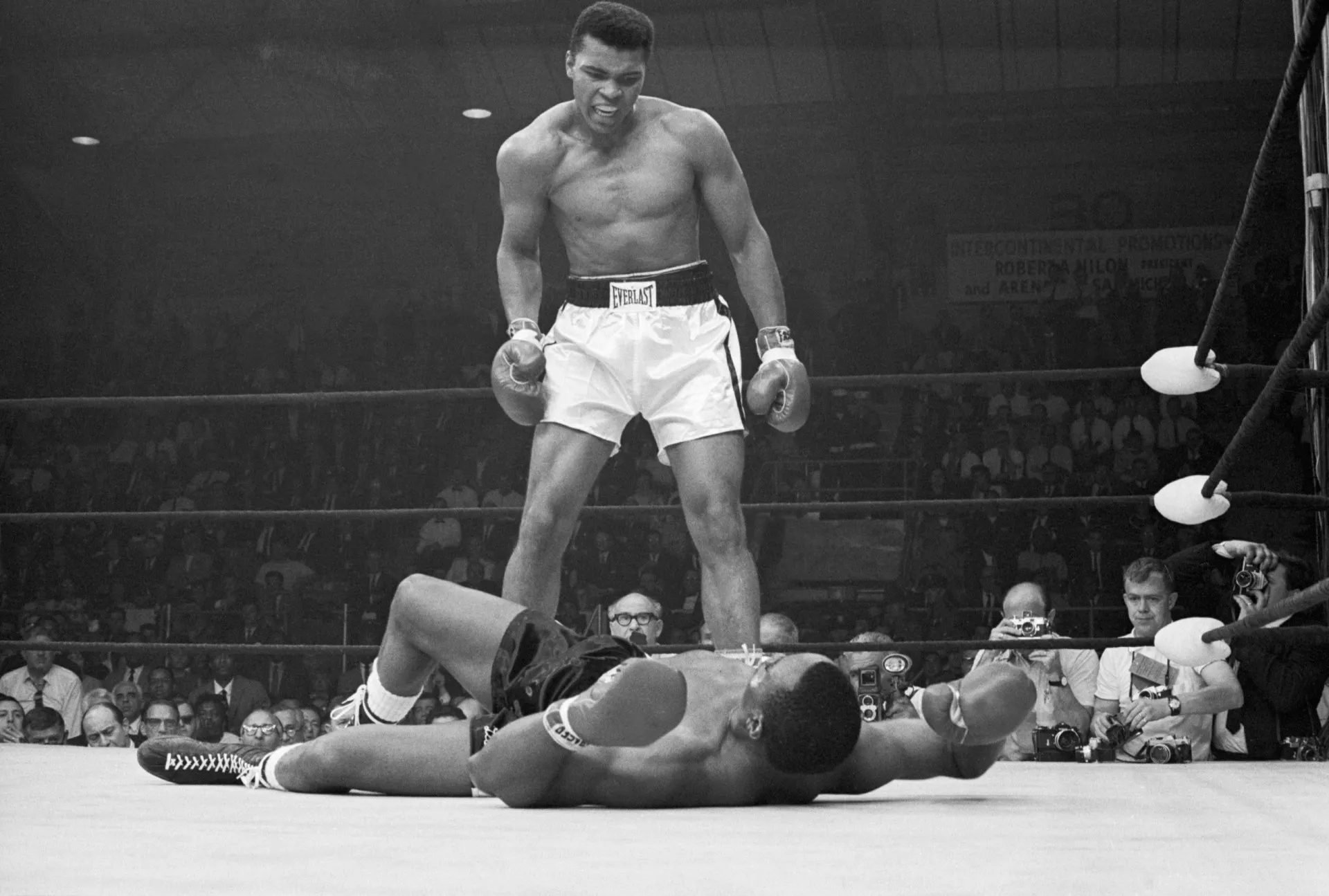 Muhammad Ali em pé sobre Sonny Liston caído, gritando para que ele se levante durante a luta.