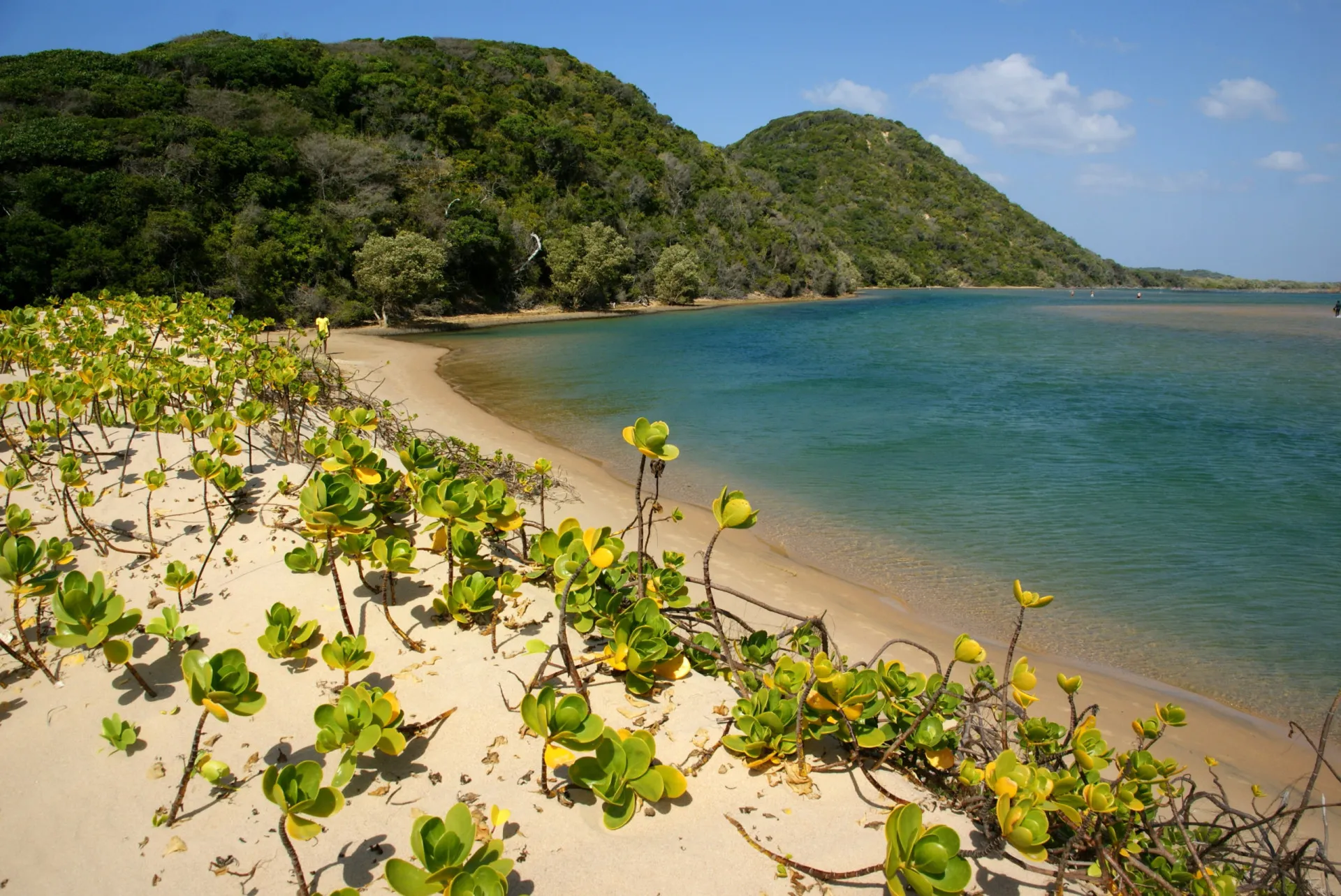 Águas calmas e vegetação exuberante em Kosi Bay, África do Sul.