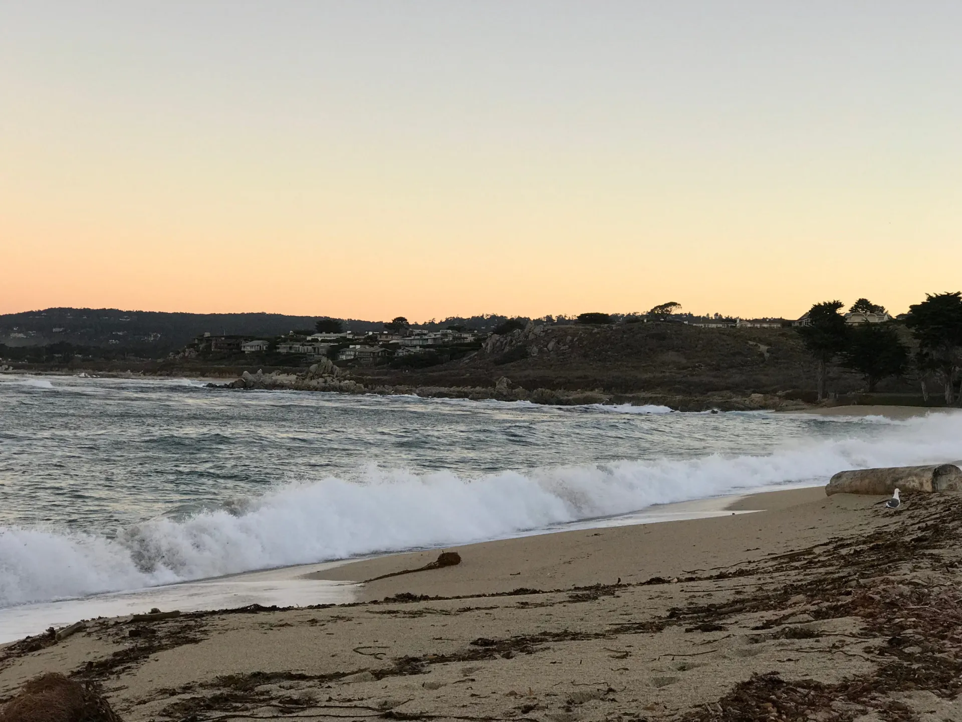 Ondas fortes quebrando na areia de Monastery Beach, Califórnia.