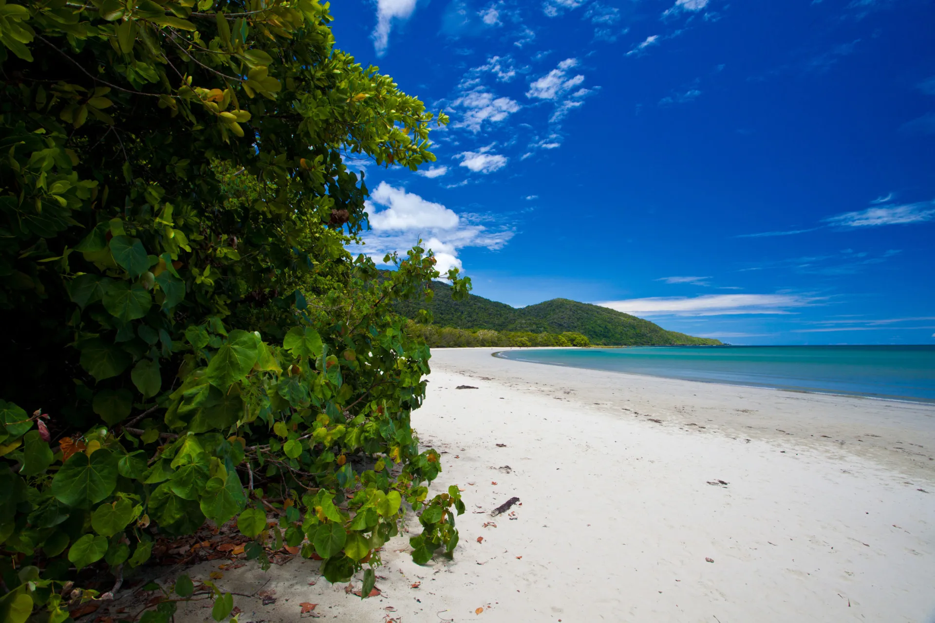 Praia paradisíaca de Cape Tribulation, Austrália.