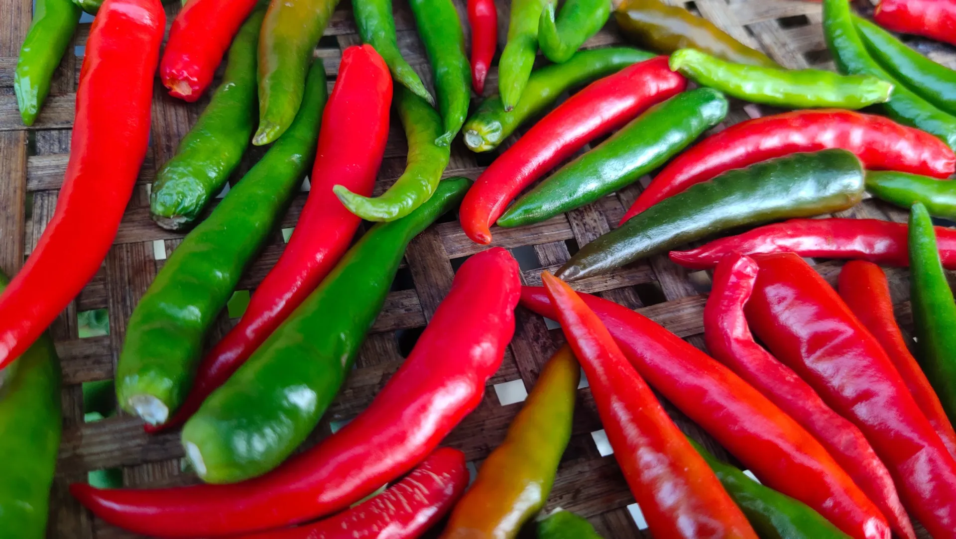 Close-up de pimentas vermelhas vibrantes, destacando a fonte de capsaicina.