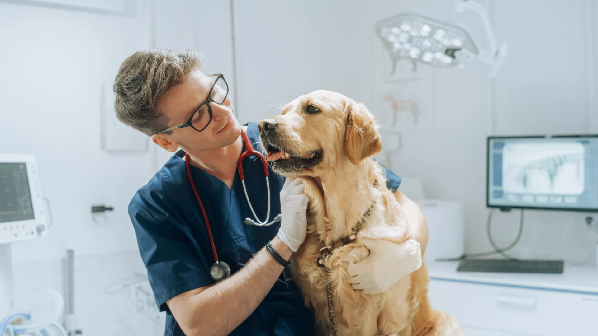 Um tutor consolando seu cão, que parece cansado e confuso após uma crise.
