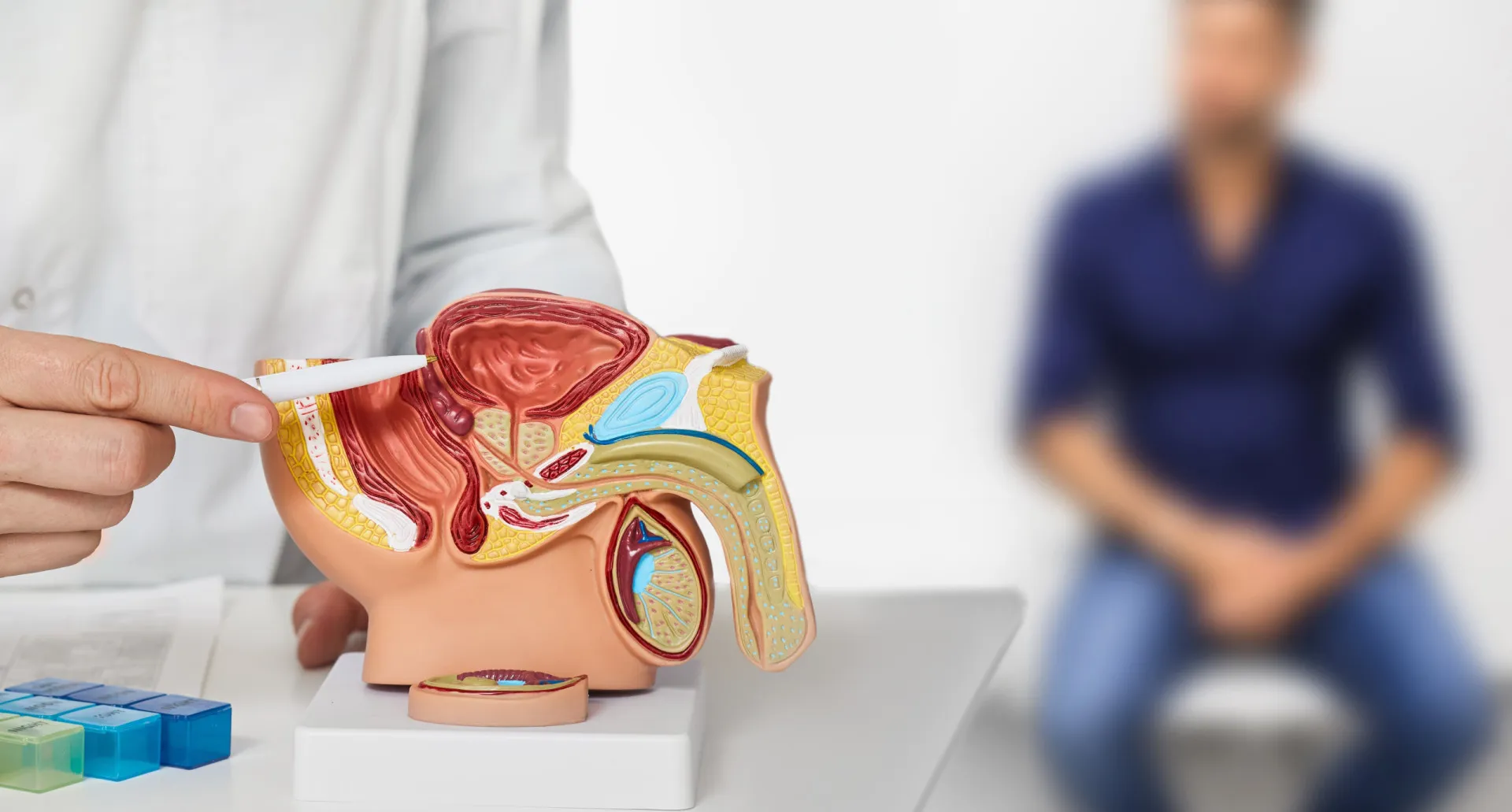 Ilustração médica mostrando uma próstata aumentada pressionando a bexiga.