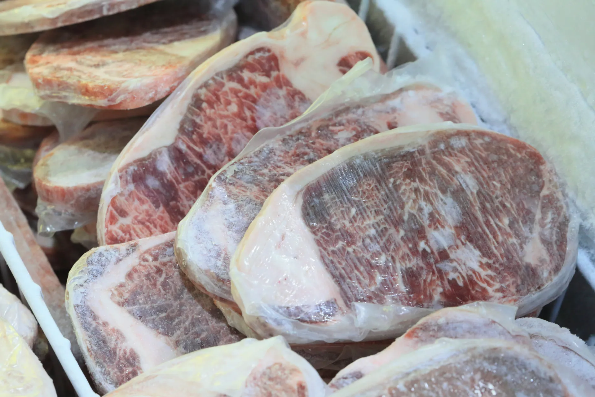 Congelador cheio de garrafas de água congeladas e alimentos embalados.