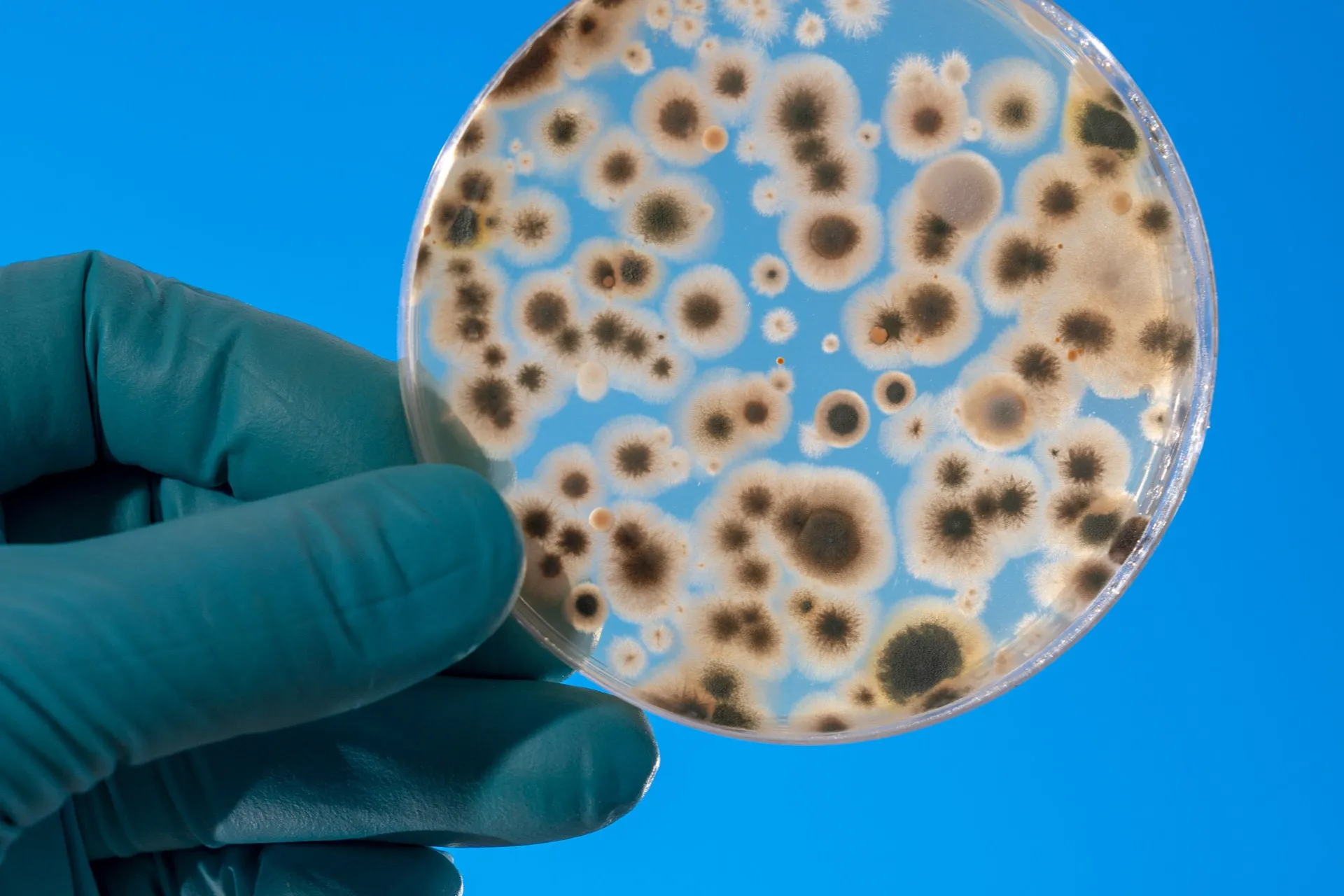 Um cientista sorrindo enquanto olha para um tubo de ensaio, simbolizando sucesso em pesquisa.