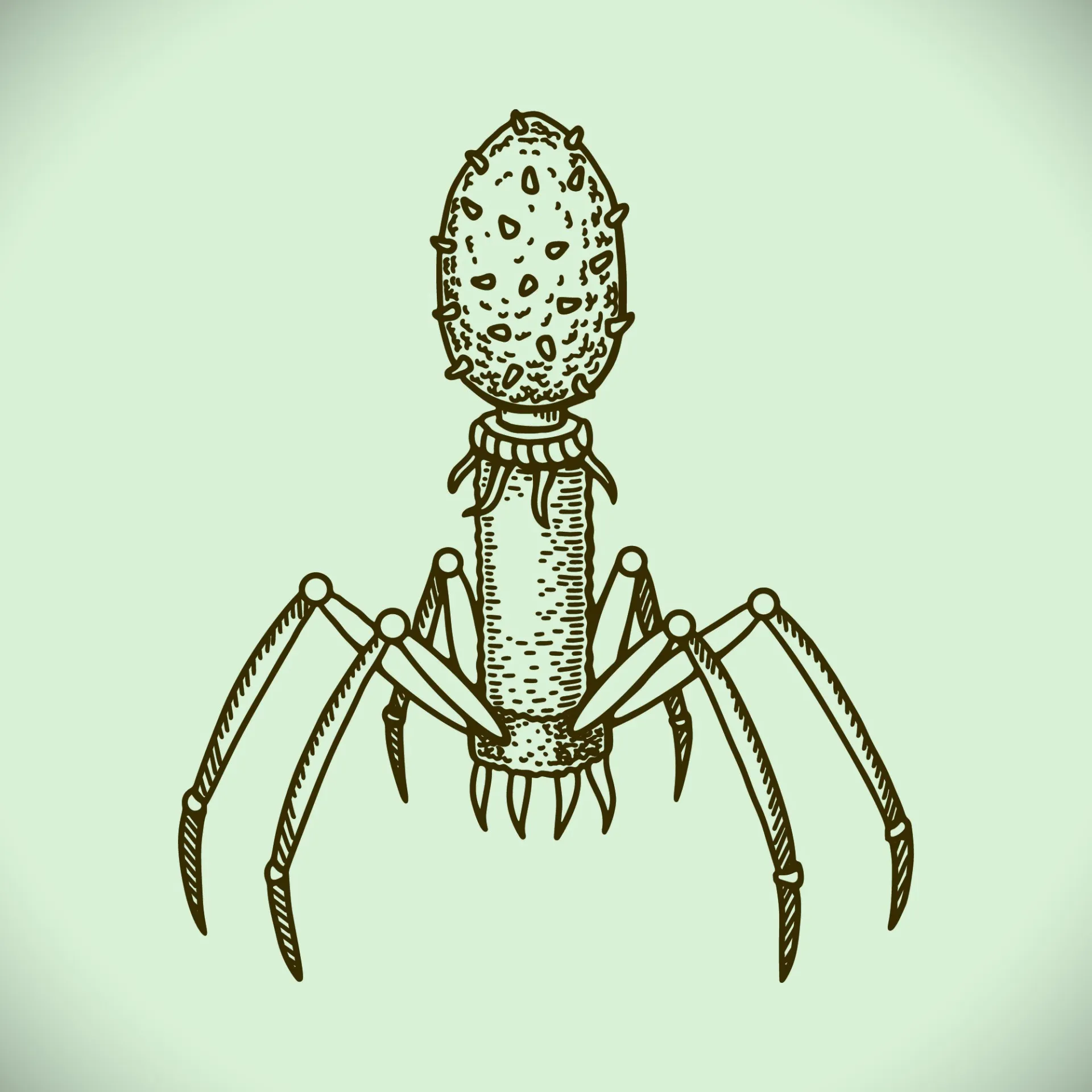 Ilustração de vírus bacteriófagos atacando e destruindo uma célula de bactéria.