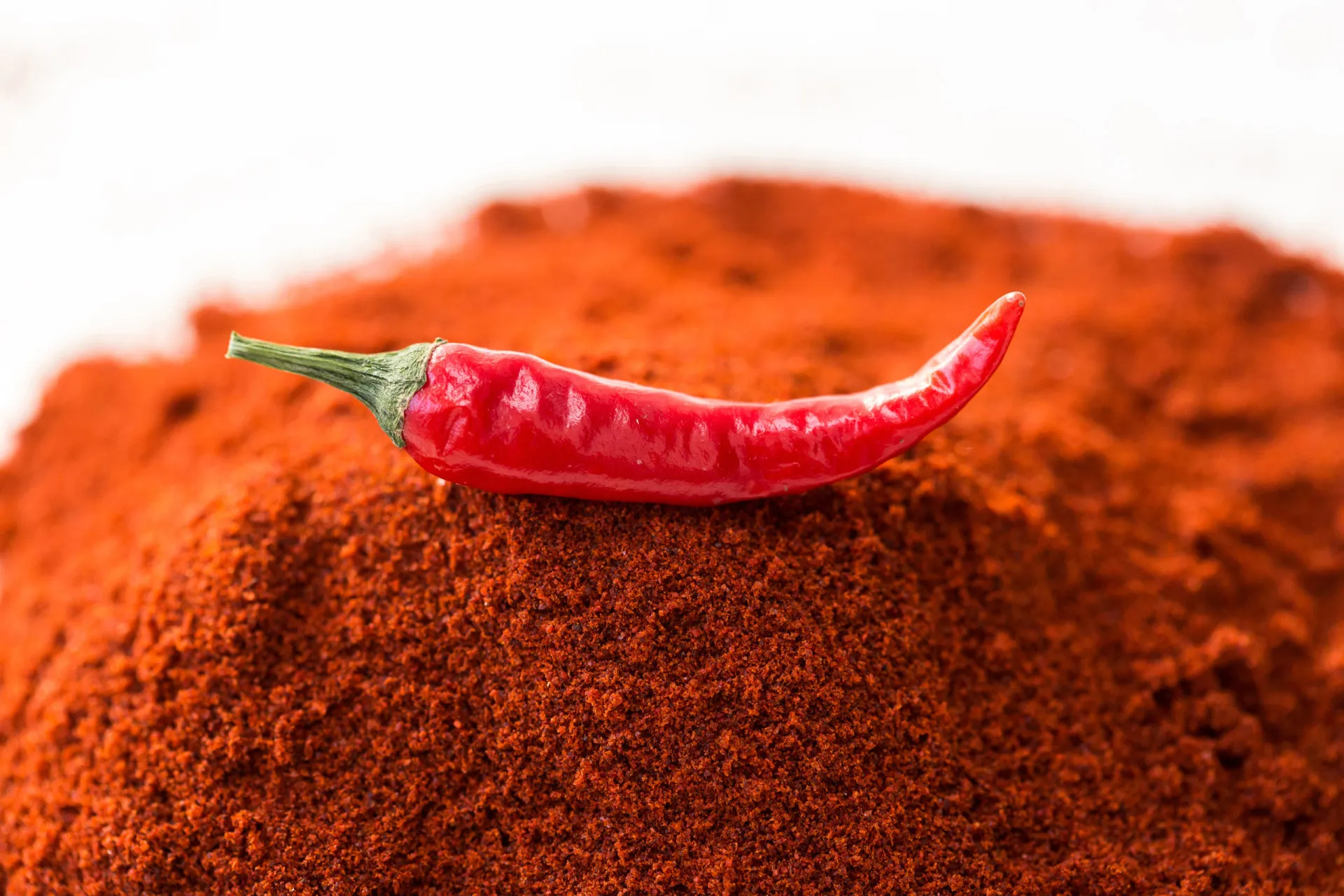 Pimentas vermelhas vibrantes, fonte natural da capsaicina, um composto que combate a tosse.
