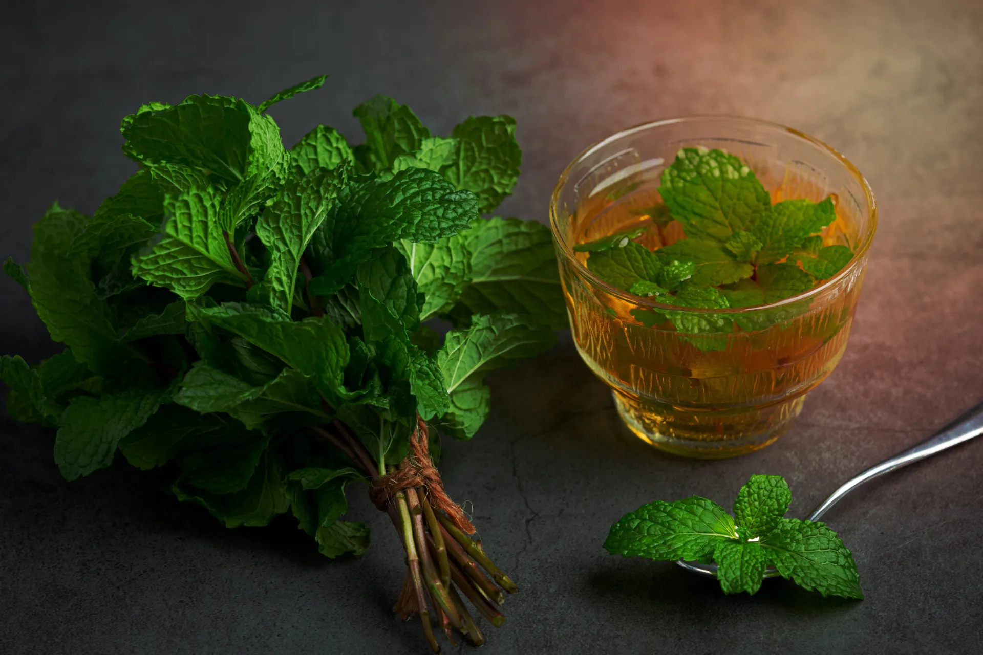 Xícara de chá de hortelã-pimenta fumegante, ideal para ser consumida antes de dormir.