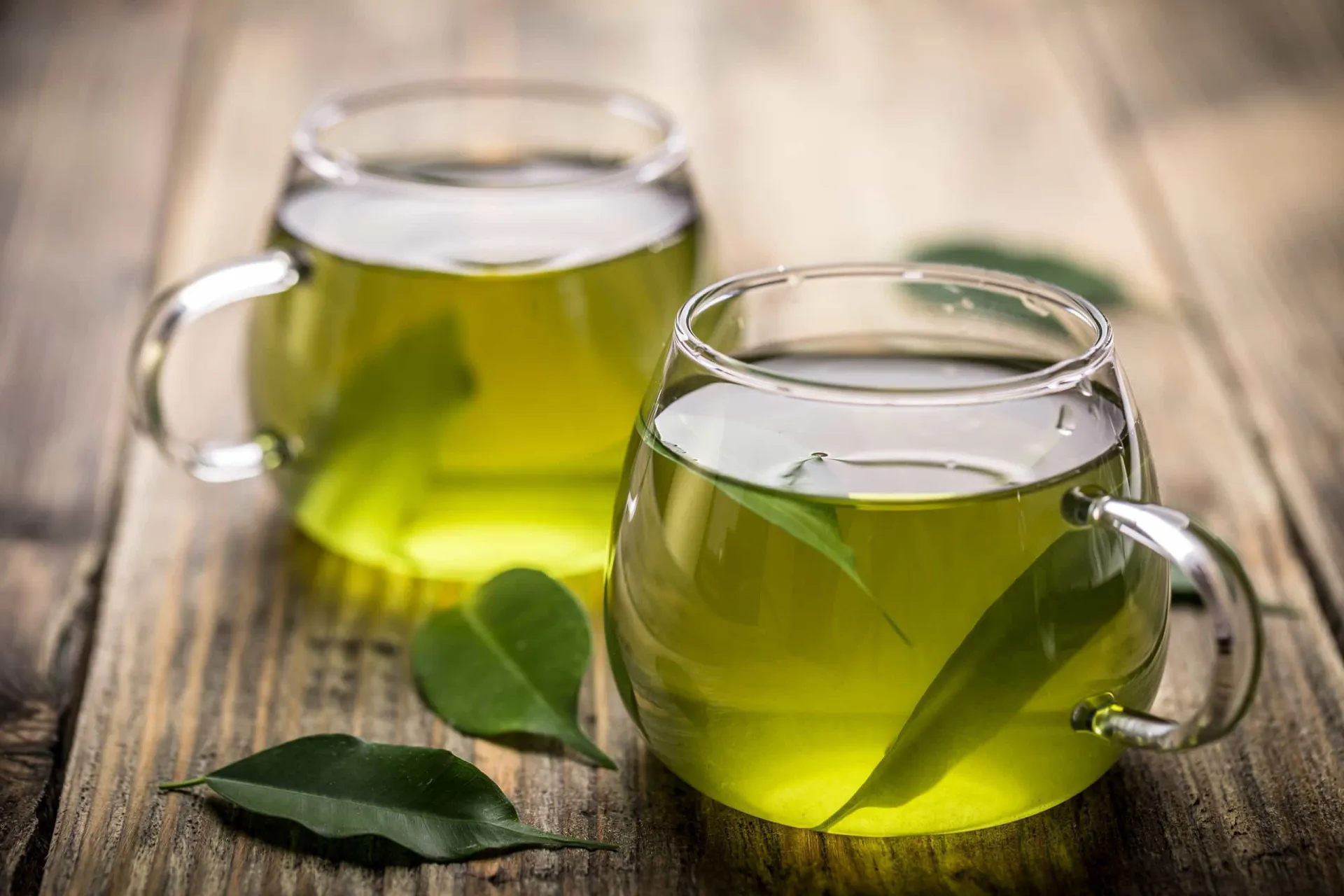 Folhas de chá verde secas, mostrando a origem da bebida.