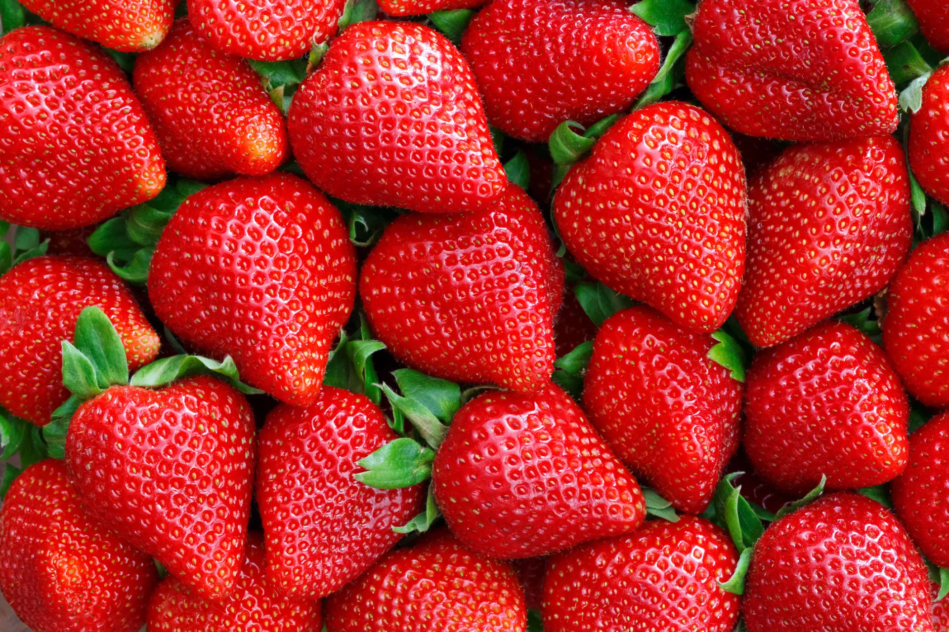Um mix de frutas silvestres frescas, incluindo morangos, mirtilos e framboesas.