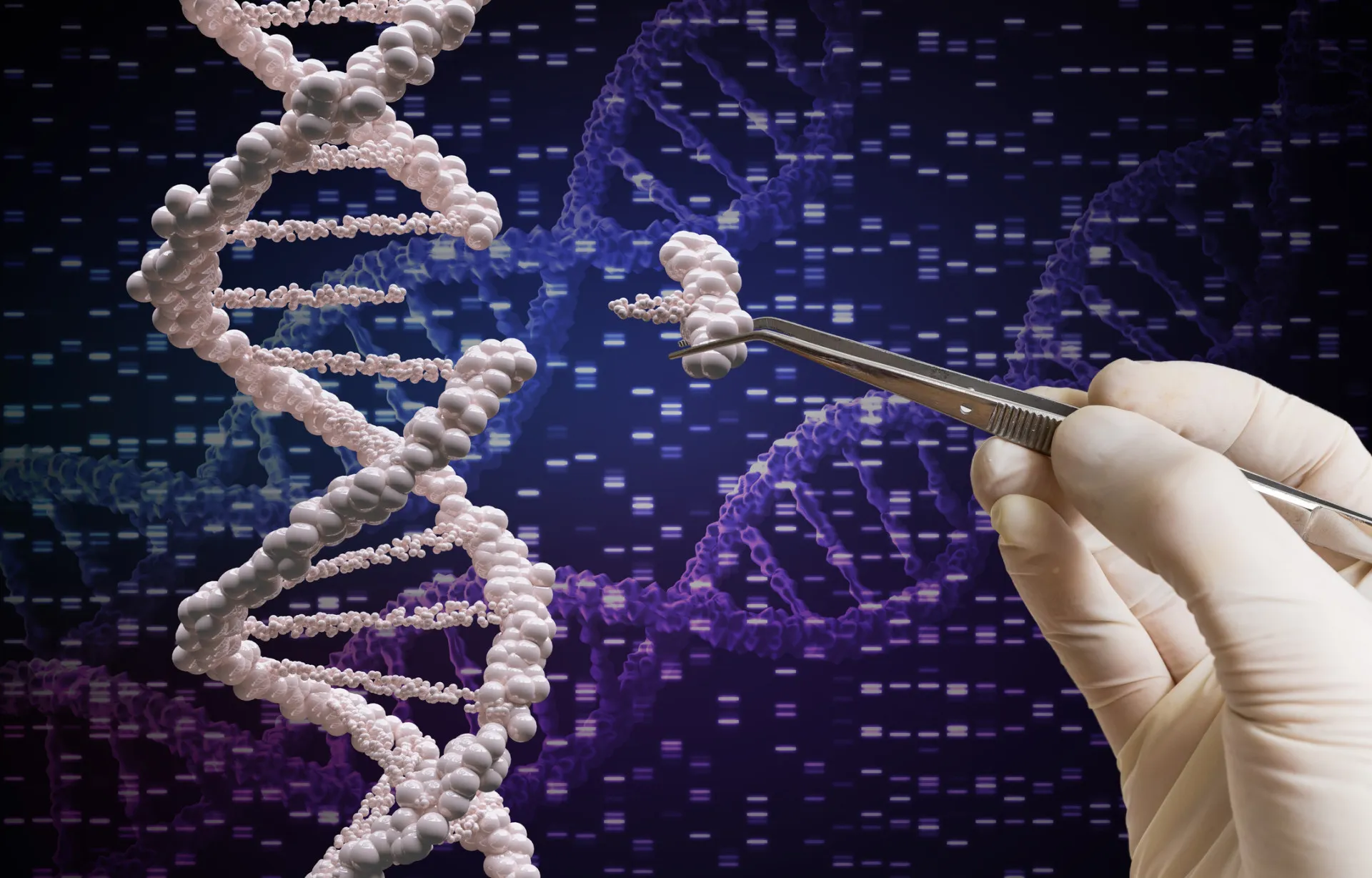Gráfico mostrando uma fita de DNA sendo reparada por proteínas após um corte.