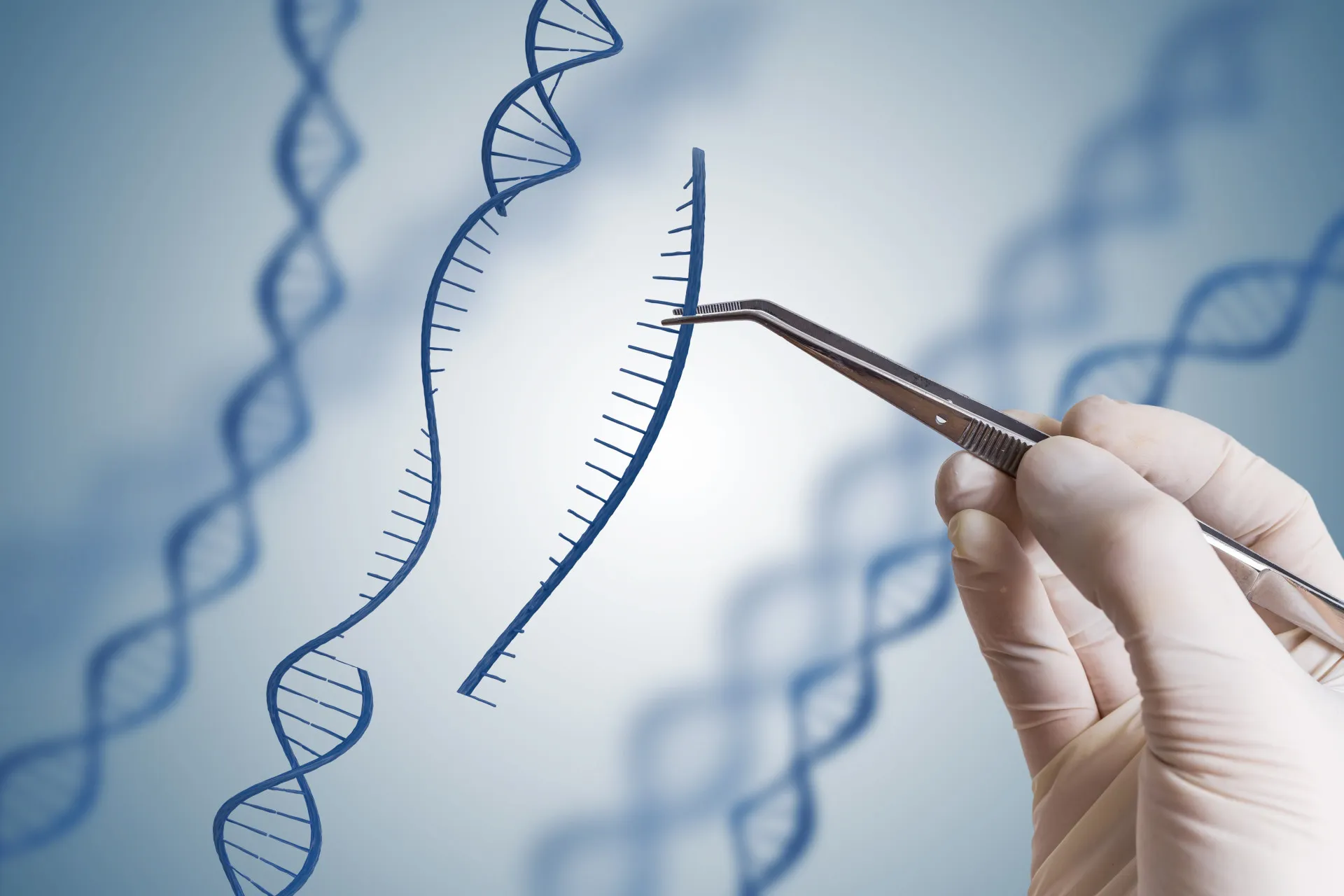 Representação gráfica de uma fita de DNA sendo manipulada por ferramentas científicas.