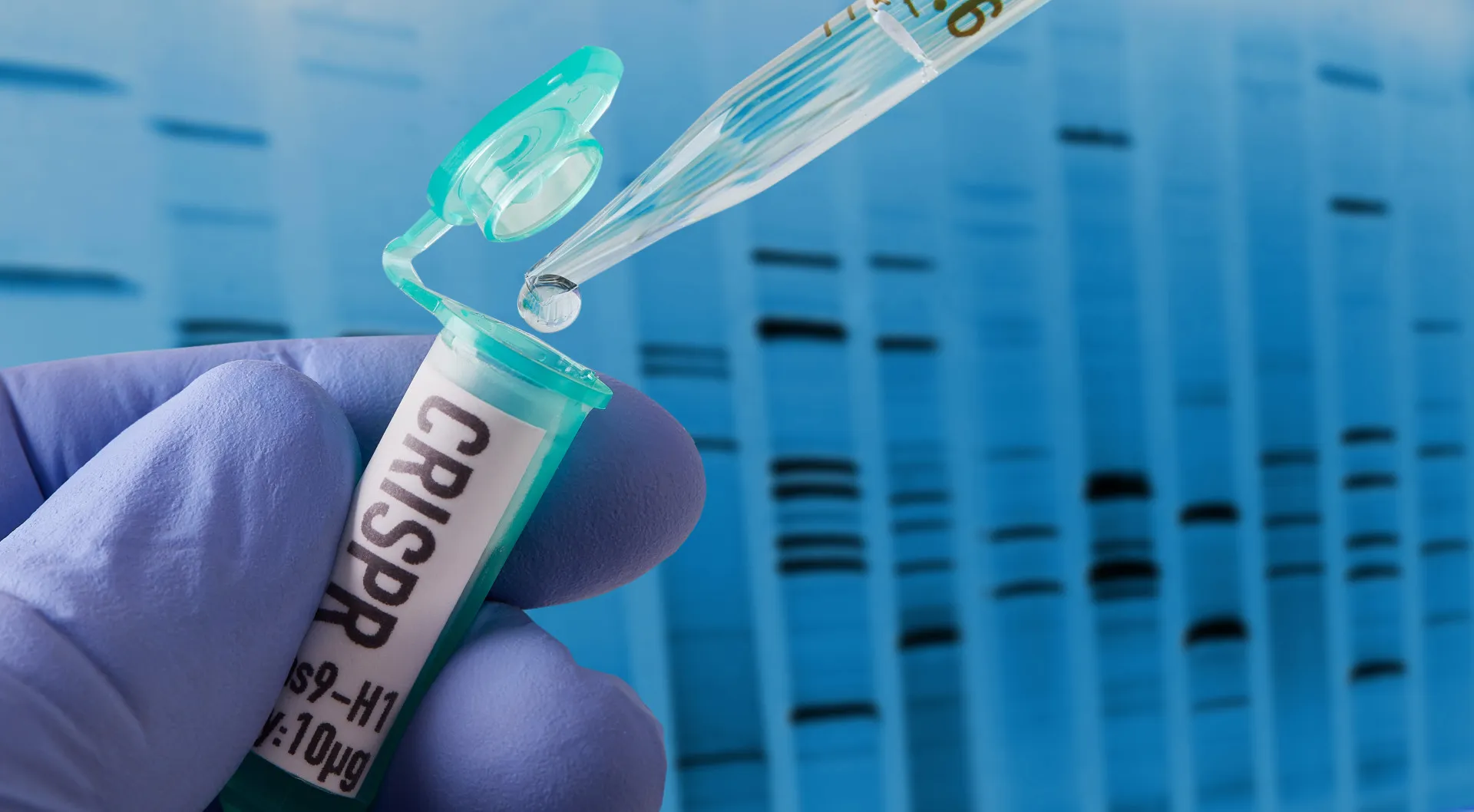 Gráfico mostrando enzimas 'nucleases' se ligando a uma fita de DNA para cortá-la.