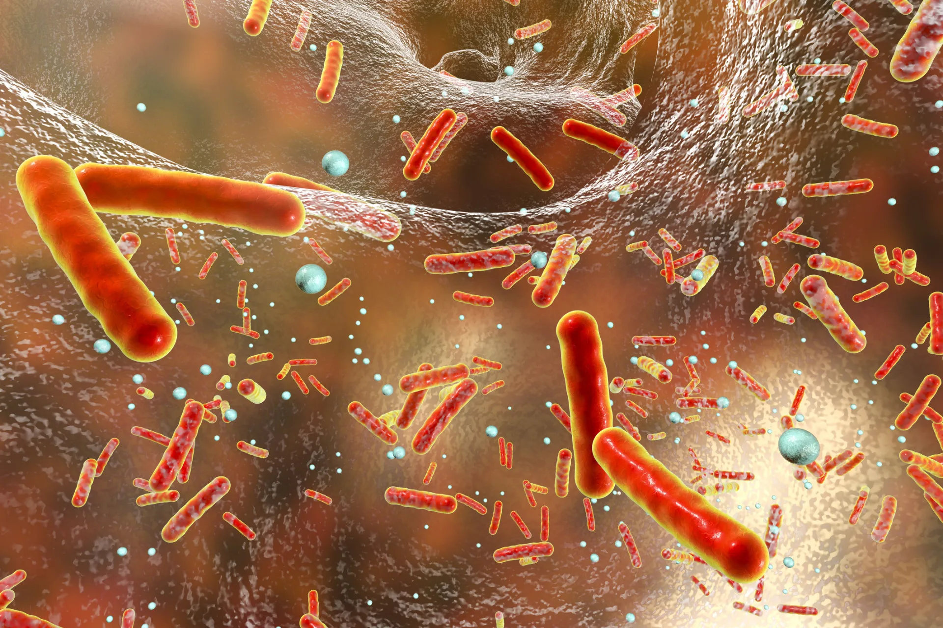 Gráfico mostrando uma bactéria incorporando um pedaço de DNA de um vírus em seu próprio genoma.