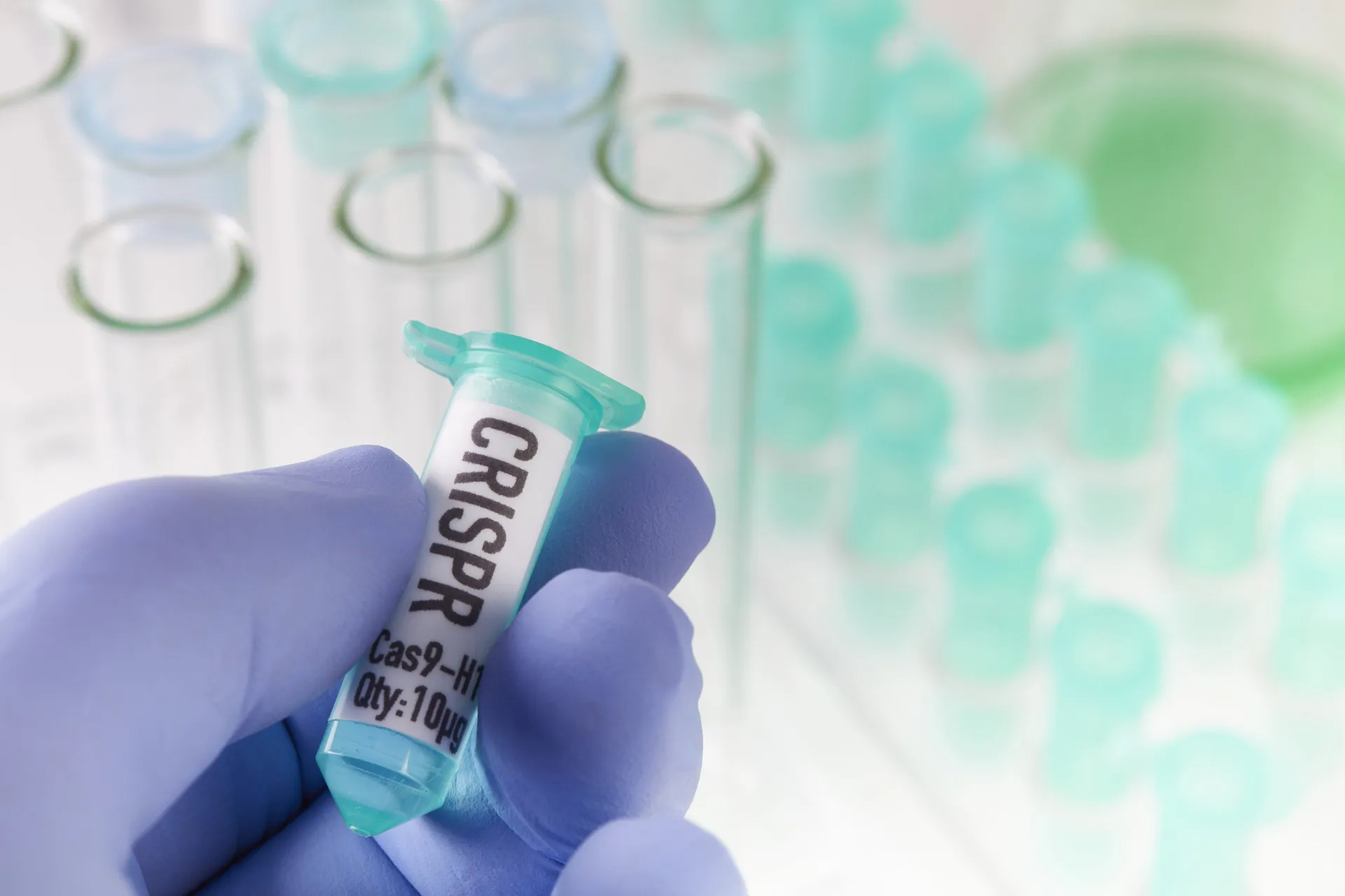 Um kit de ferramentas 'faça você mesmo' para edição genética CRISPR, disponível para compra online.