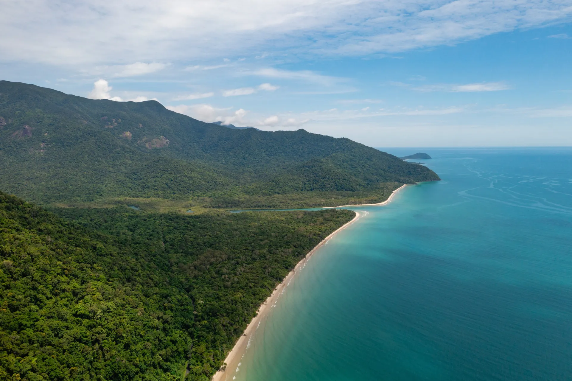 A densa e exuberante Floresta Tropical Daintree na Austrália, com um rio serpenteando por ela.